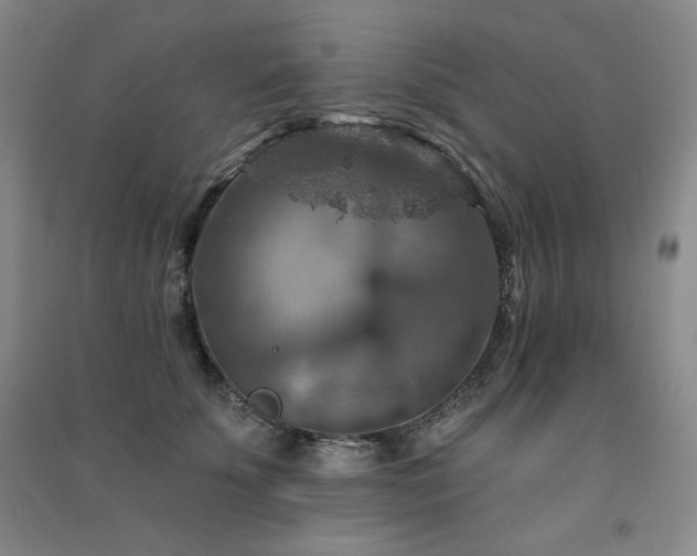 X0000091510707200708171156