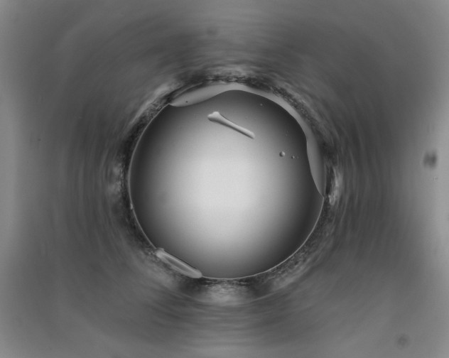 X0000091510708200708171156