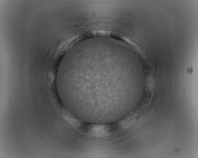 X0000091510709200708171156