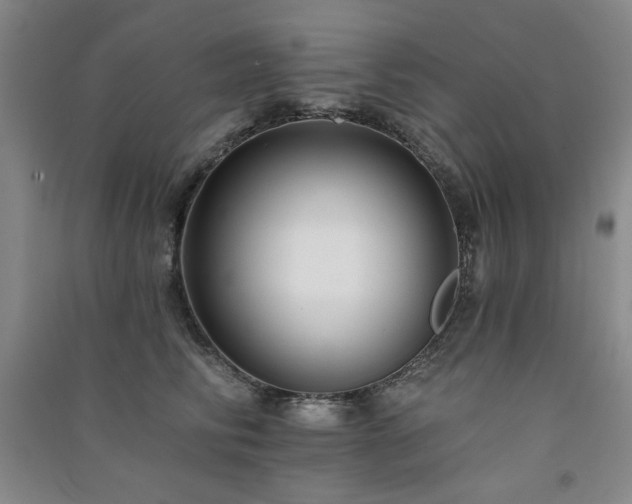 X0000091510710200708171156