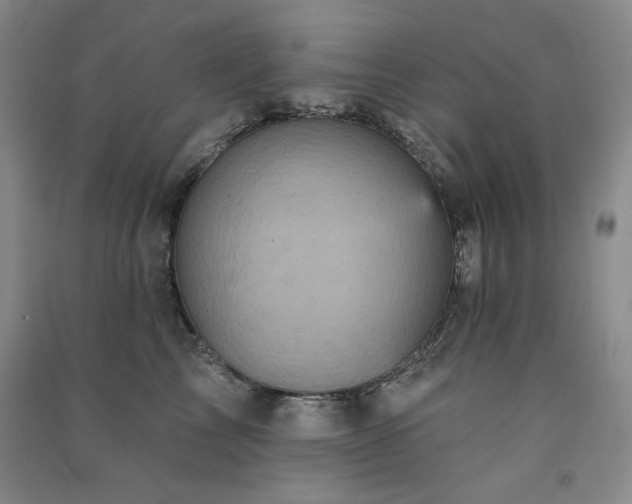 X0000091510713200708171156