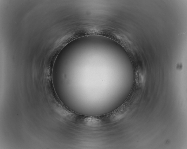 X0000091510714200708171156