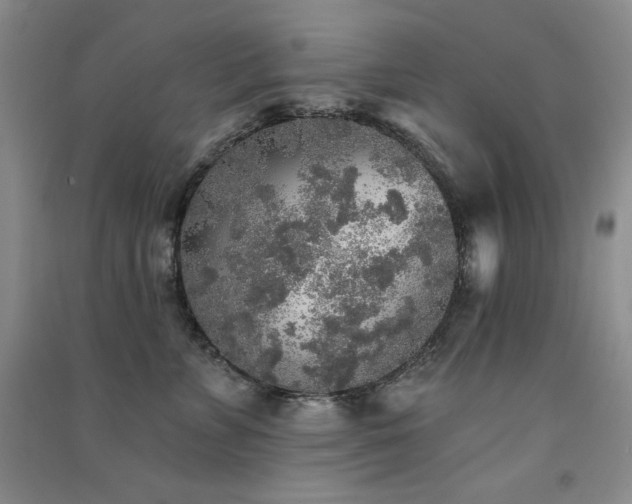 X0000091510715200708171156