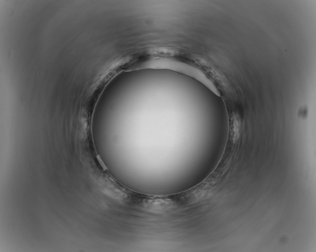 X0000091510716200708171156