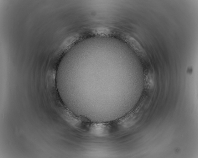 X0000091510717200708171155