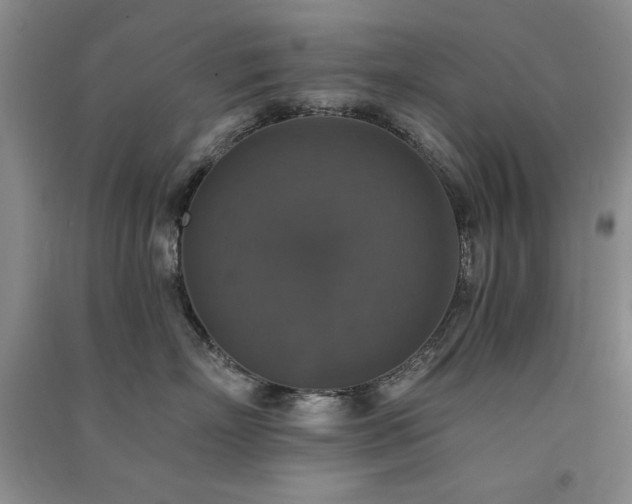 X0000091510718200708171155