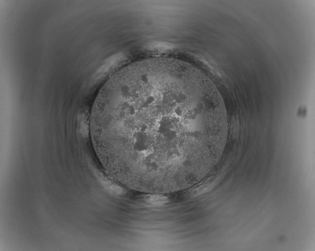 X0000091510719200708171155