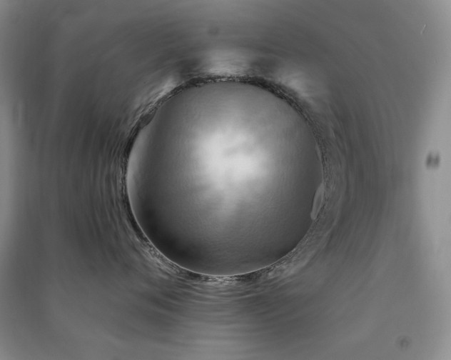 X0000091510720200708171155