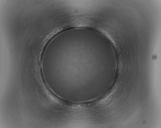 X0000091510721200708171155