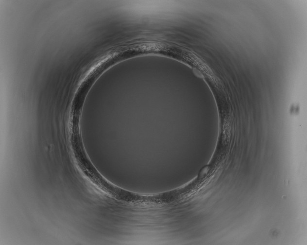 X0000091510722200708171155