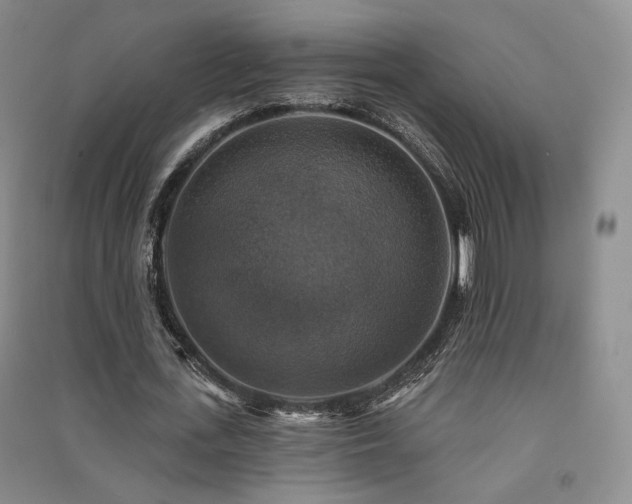 X0000091510723200708171155