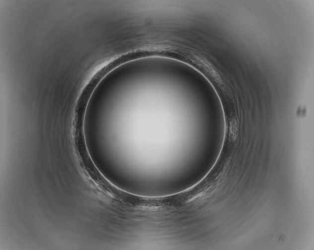 X0000091510724200708171155