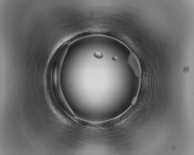 X0000091510726200708171155