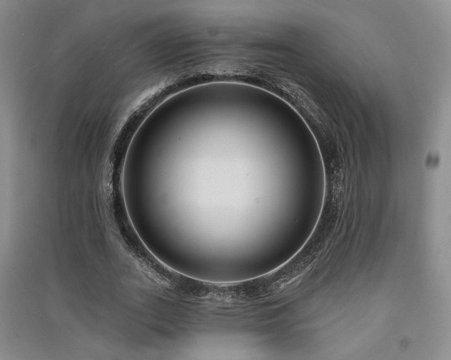 X0000091510727200708171155