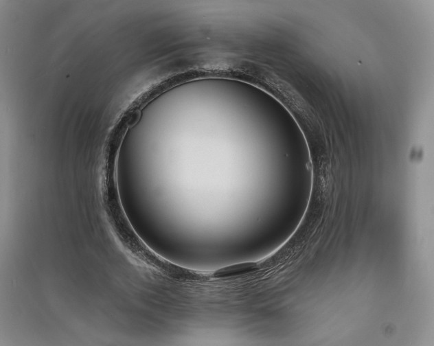 X0000091510728200708171155