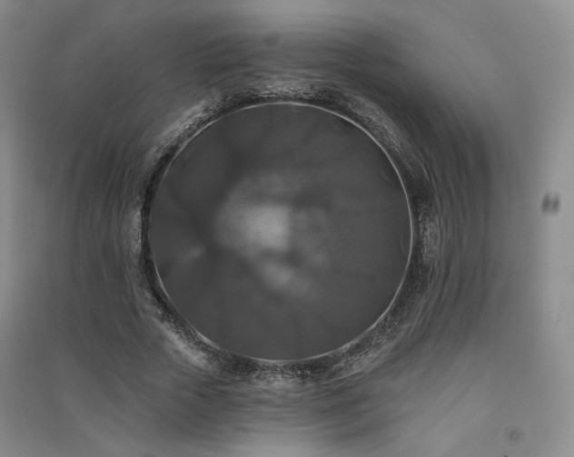 X0000091510729200708171155