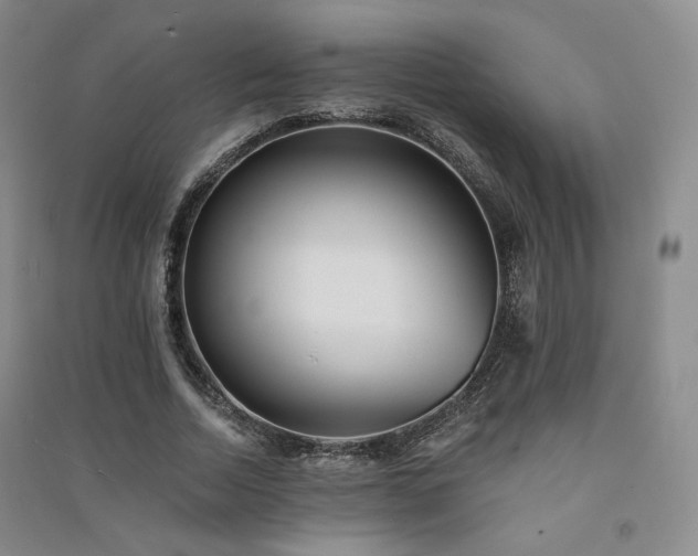 X0000091510730200708171155