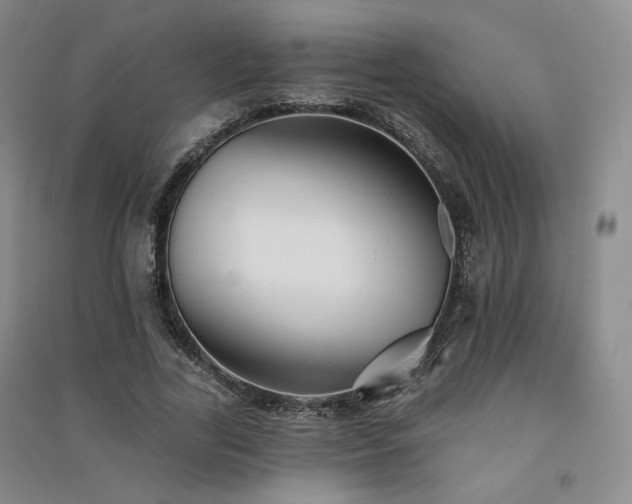 X0000091510731200708171155