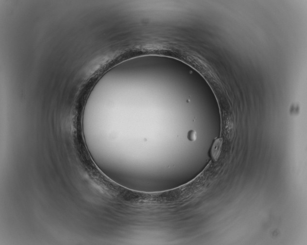 X0000091510732200708171155