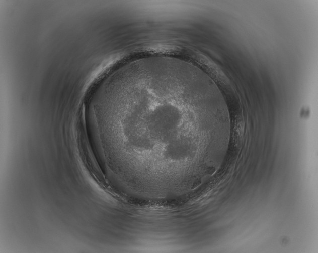 X0000091510734200708171155