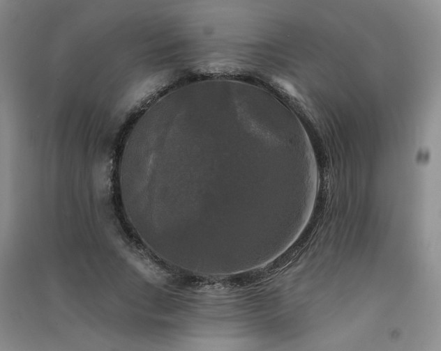 X0000091510735200708171155