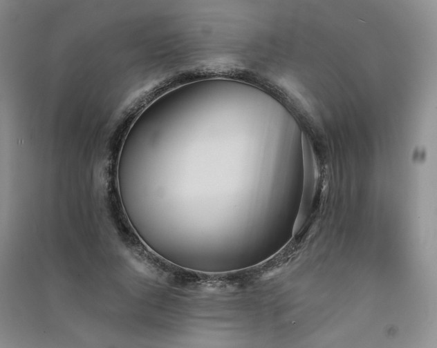 X0000091510736200708171155