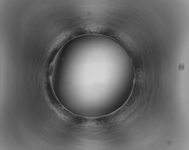 X0000091510738200708171155