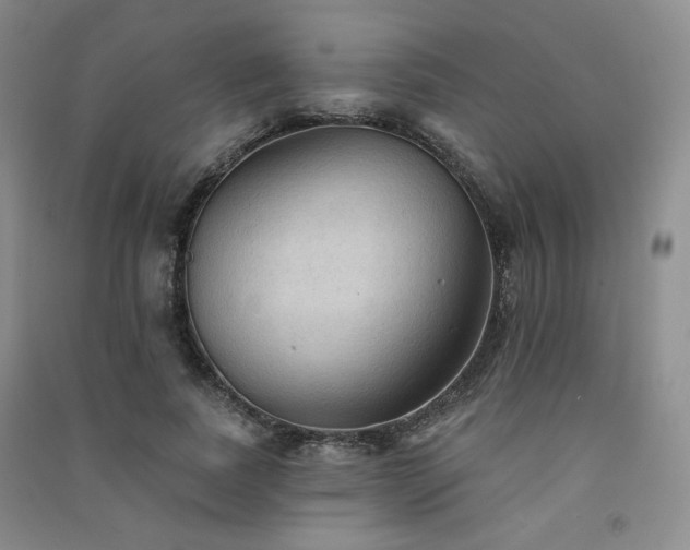 X0000091510739200708171155
