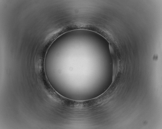 X0000091510740200708171155