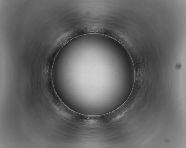 X0000091510741200708171155