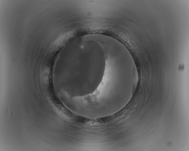 X0000091510742200708171155