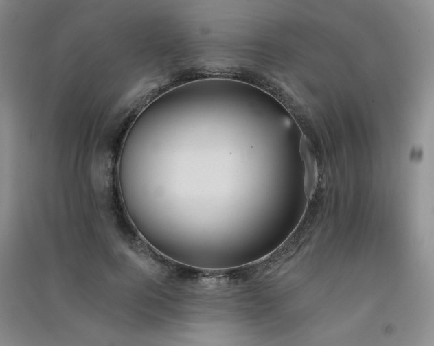 X0000091510744200708171155
