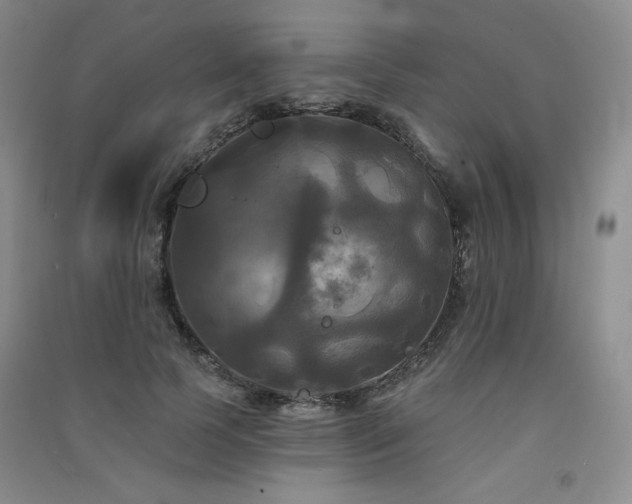 X0000091510745200708171155