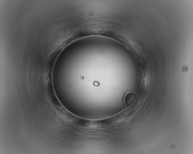 X0000091510746200708171155
