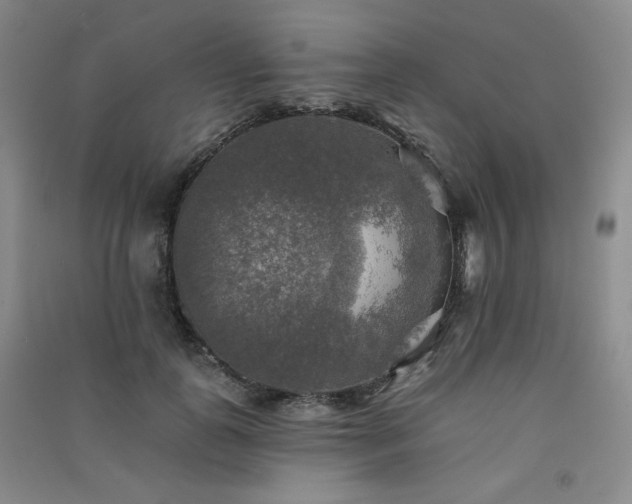 X0000091510747200708171155