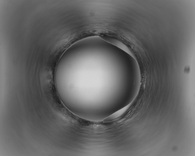 X0000091510748200708171155