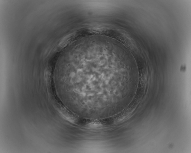 X0000091510749200708171155