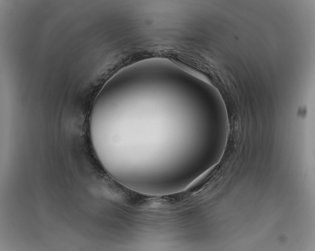 X0000091510750200708171155