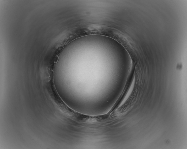 X0000091510751200708171155