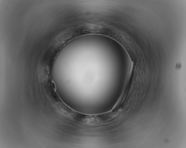 X0000091510752200708171155