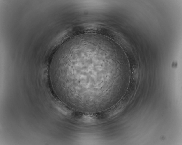 X0000091510753200708171155