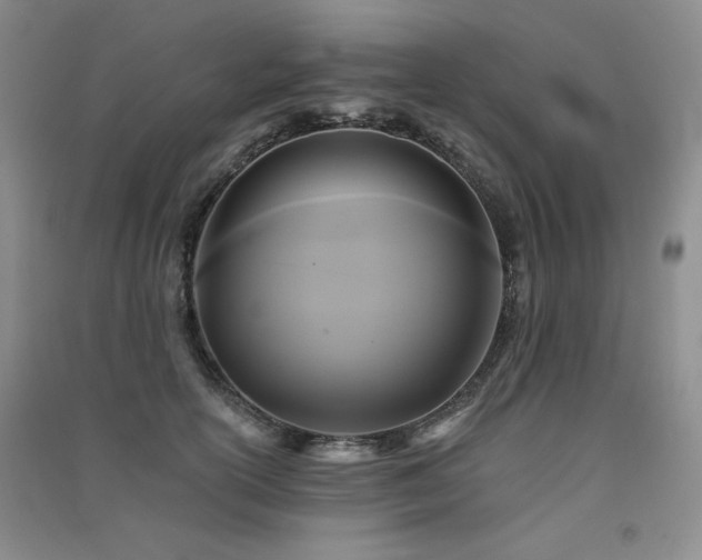 X0000091510754200708171155