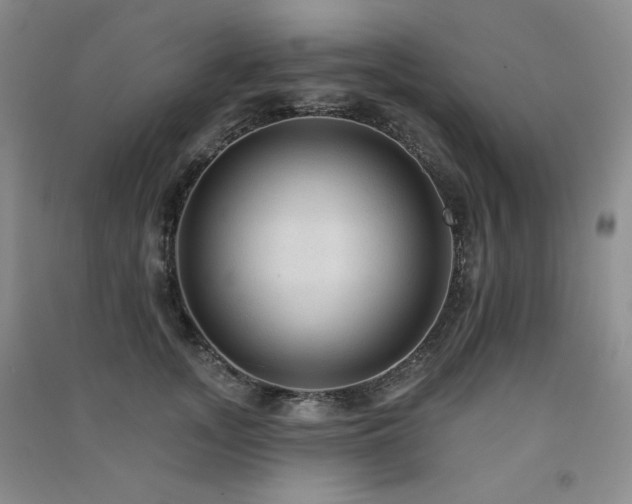 X0000091510755200708171155