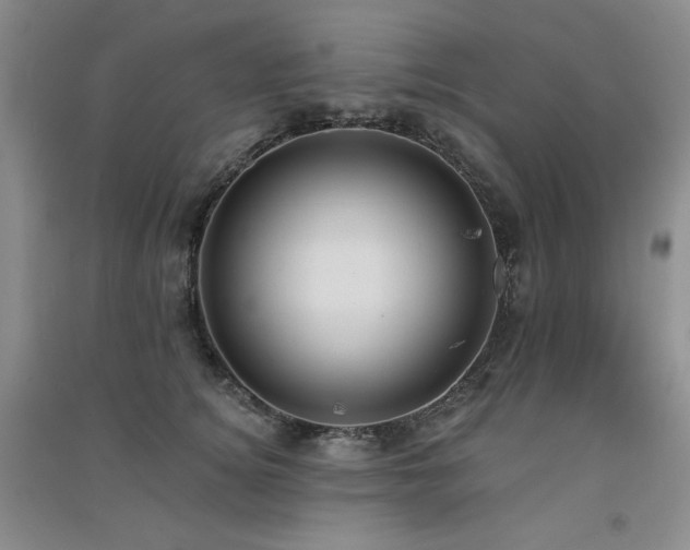 X0000091510756200708171155
