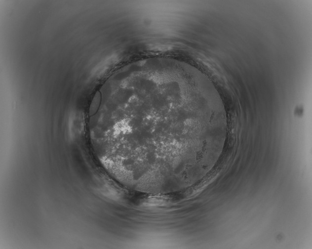 X0000091510758200708171155