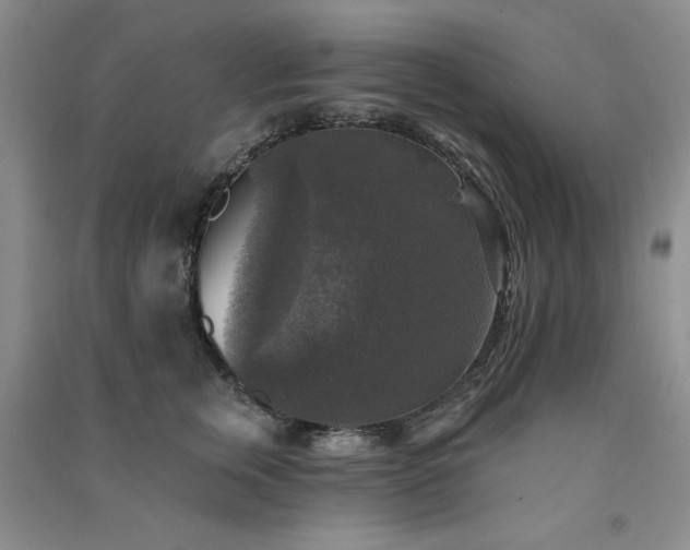 X0000091510759200708171155