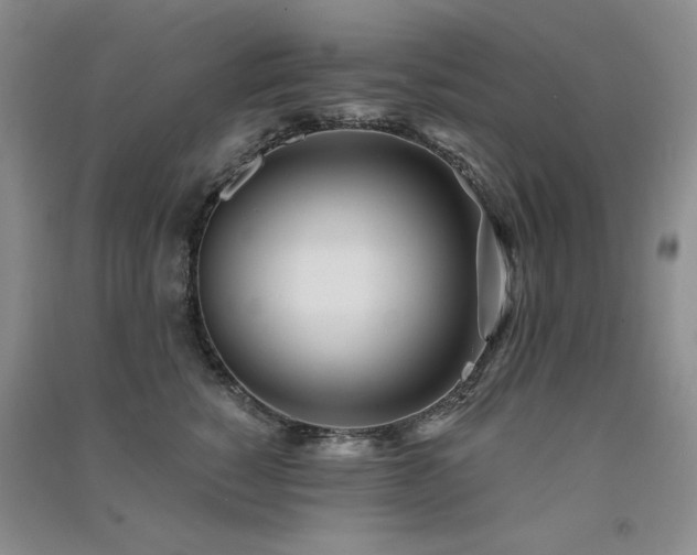 X0000091510760200708171155