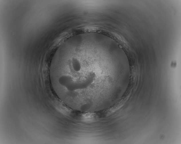 X0000091510761200708171155