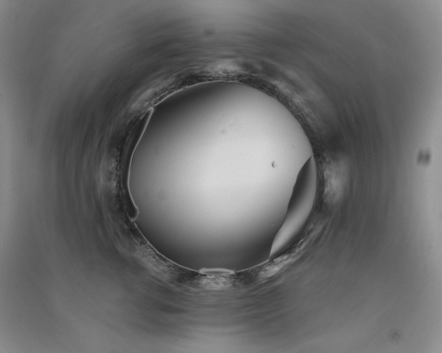 X0000091510762200708171155