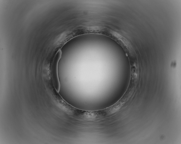 X0000091510764200708171155